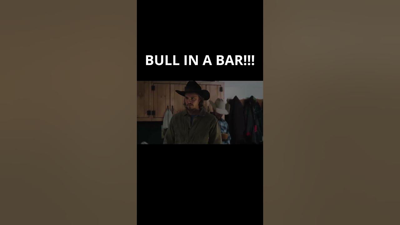 BULL IN A BAR!!! 🤯😨😰 #viral #youtubeshorts #viralshorts - YouTube