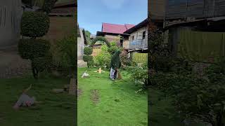 Toddler Trips Unnoticed While Mother Sweeps