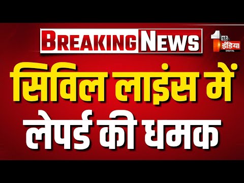 Civil Lines में लेपर्ड की धमक, वन विभाग की रेस्क्यू टीम पहुंची मौके पर | Leopard Movement | Jaipur