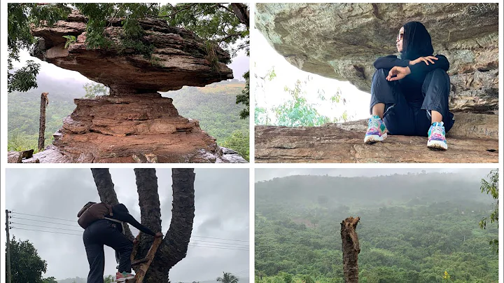 The Unexpected Truth Behind Umbrella rock and the 3 headed palm tree in Ghana