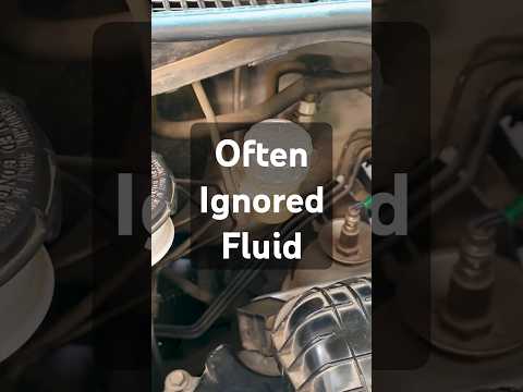 Clutch Fluid Is Brake Fluid Change It Every 2 3 Years 