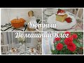 РЕЦЕПТ САМОГО ВКУСНОГО ПЛОВА 🌾🍛МАННИК БЕЗ МУКИ 🥧 МОИ ЦВЕТЫ 🌹 УДОБРЯЕМ ГОРТЕНЗИИ 🌿 ПОЛЕЗНЫЕ ПОКУПКИ 🛍
