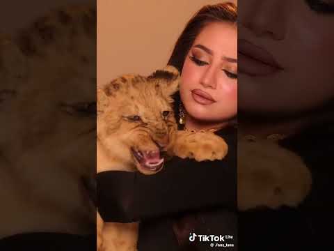 تيك توك لانا ترند الألوان 