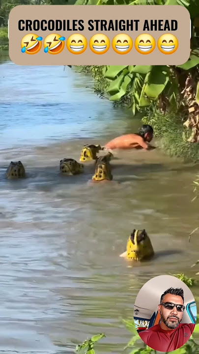 ❤️🙏🌍🤣🤣🤣🤣🤣😁