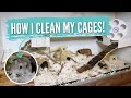 How I Clean my Hamster Cages!