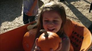 Pumpkin Patch 2016 - Family Vlog
