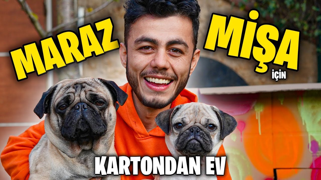 Maraz Ile Misa Ya Kartondan Ev Yaptik Youtube