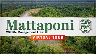 Explore Mattaponi Wildlife Management Area (WMA)
