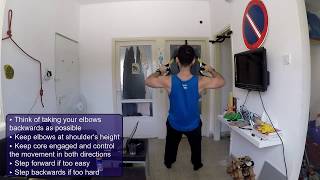 PalgiTraining - TRX Deltoid Row