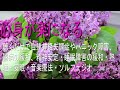 【心身が楽になる】聴くだけで自律神経失調症やパニック障害、鬱病の緩和、精神安定・睡眠障害の緩和・熟睡・安眠・音楽療法・ソルフェジオ・病気が治る音楽, 空間浄化, 波動水, 可愛くなる音楽