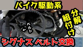 シグナス、バイクのベルト交換！分解・組立て・解説付き！これで工具があれば誰でも出来ちゃう。