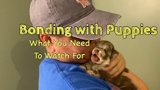 Bonding with 3 Week Old Puppies: Don’t Make This Mistake