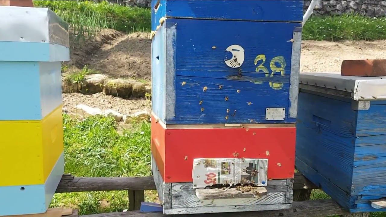 Kratak osvrt na ciljano sakupljanje Perge