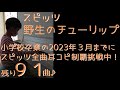 #スピッツ #野生のチューリップ 【スピッツ157】【耳コピ221】スペシャルアルバム「花鳥風月+」10曲目―2026年4月から音楽高校生MusicCreatorY小6当時の絶対音感耳コピピアノ演奏