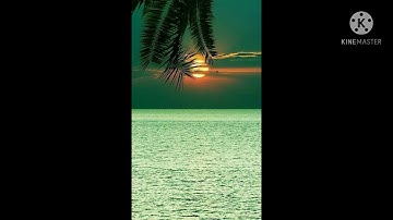 من نوادر سيدنا الشيخ محمد عمران رحمه الله ورضى عنه تلاوة تأسر العقول 🍀🍀🍀🍀🍀🍀🍀🍀🍀🍀🍀🌷⚘🌱🌲