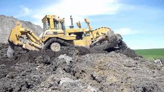 D10N - massive mudd pushy