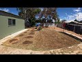 What I would do for the rest of Summer Good Lawn and Not So Good