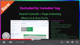 Excluded by 'noindex' tag - Search Console Page Indexing Issues - What is it How-to Fix it