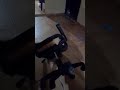 mira lo que pasa por estar jugando con mi hijo 😱 #viral @short