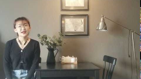 Video essay for MSFE program of NYU