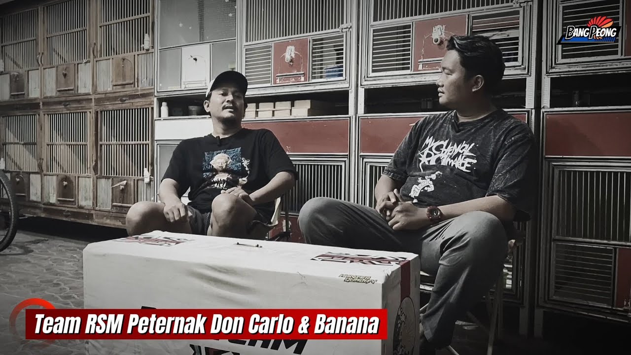 PETERNAK DON CARLO JUARA EVENT HONDA JAZZ & BANANA TEAM RSM