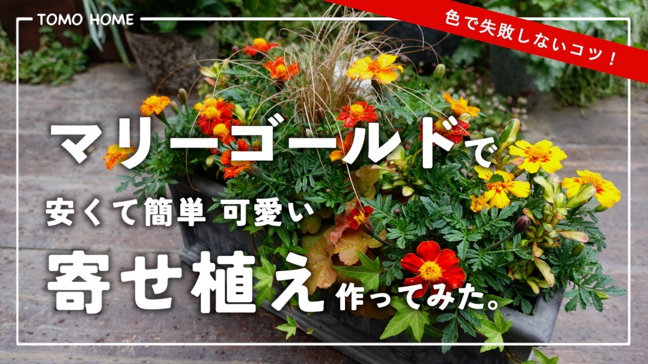 マリーゴールド様用°・*:.。.☆ Easy for anyone to make and looks great] I tried making a marigold