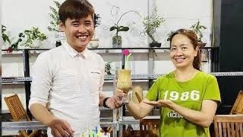 GIỚI THIỆU CÁC LOẠI LY QUẦY BAR