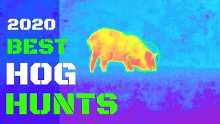 100 Best Feral Hogs Down Action!