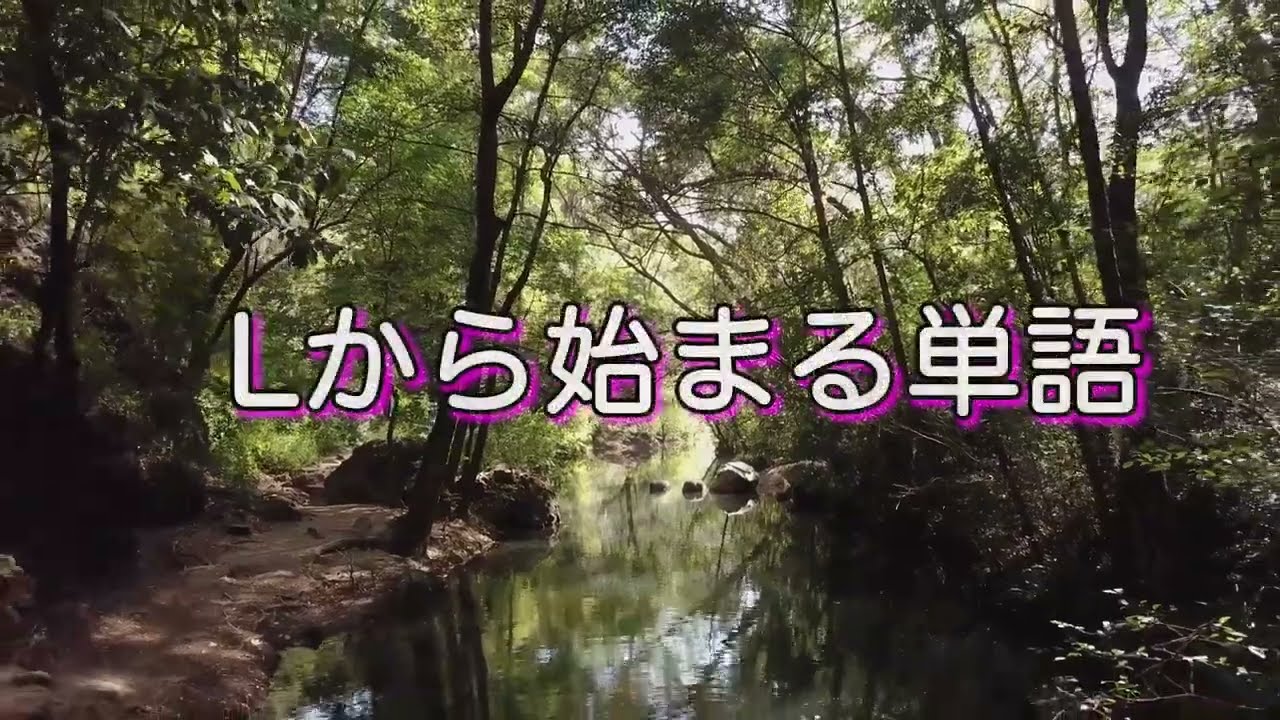 Top 23 L から 始まる 単語 Cẩm Nang Tiếng Anh