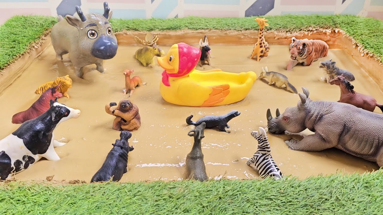Matching Noises to Mud-Covered Zoo & Jungle Animals in the Mud Ground!