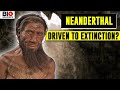 Neanderthal: The Origins, Evolution, and Extinction of Humanity’s Closest Relative