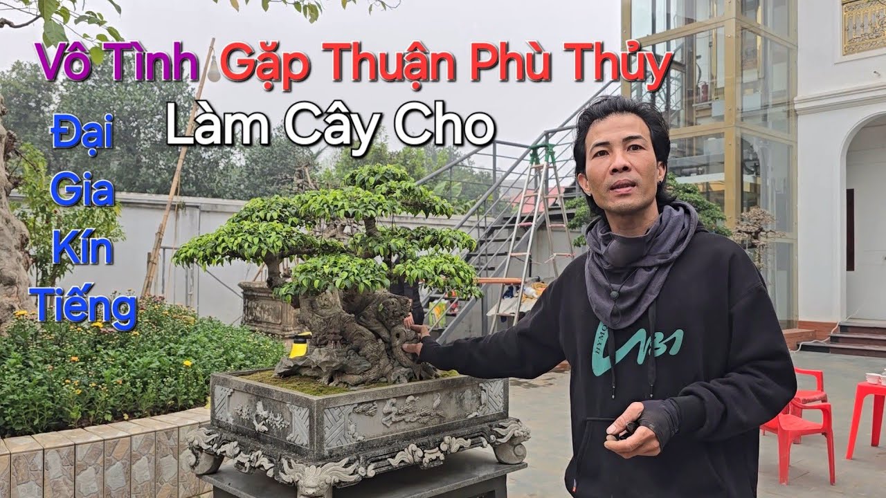 BẤT NGỜ GẶP THUẬN PHÙ THỦY làm cây cho EM TÌNH 1 ĐẠI GIA TRẺ tại Vĩnh Yên - PT .
