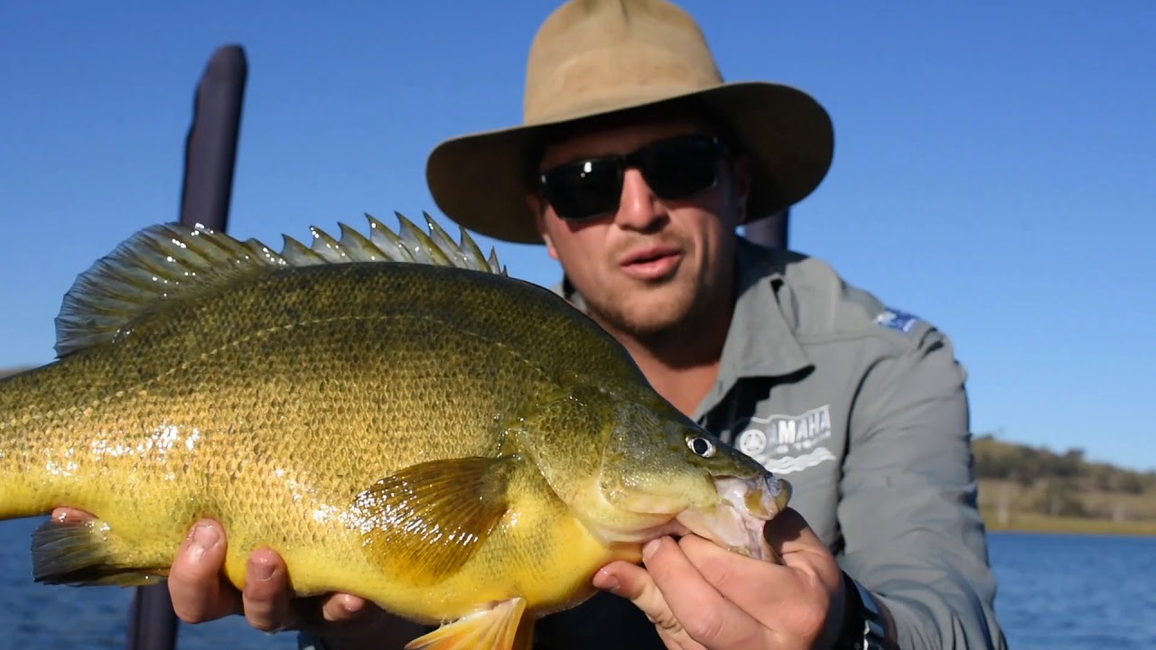 fishing trips lake windermere