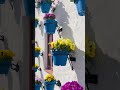 スペインのロマンチックな街並みを再現したサンタクルス通り💐カラフルな花々に彩られた白壁の街並みは、まるで美しい絵本の世界のようです📕
