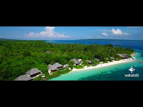Wakatobi Resort & House Reef