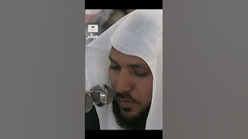سوره البقره كامله بدون اعلانات