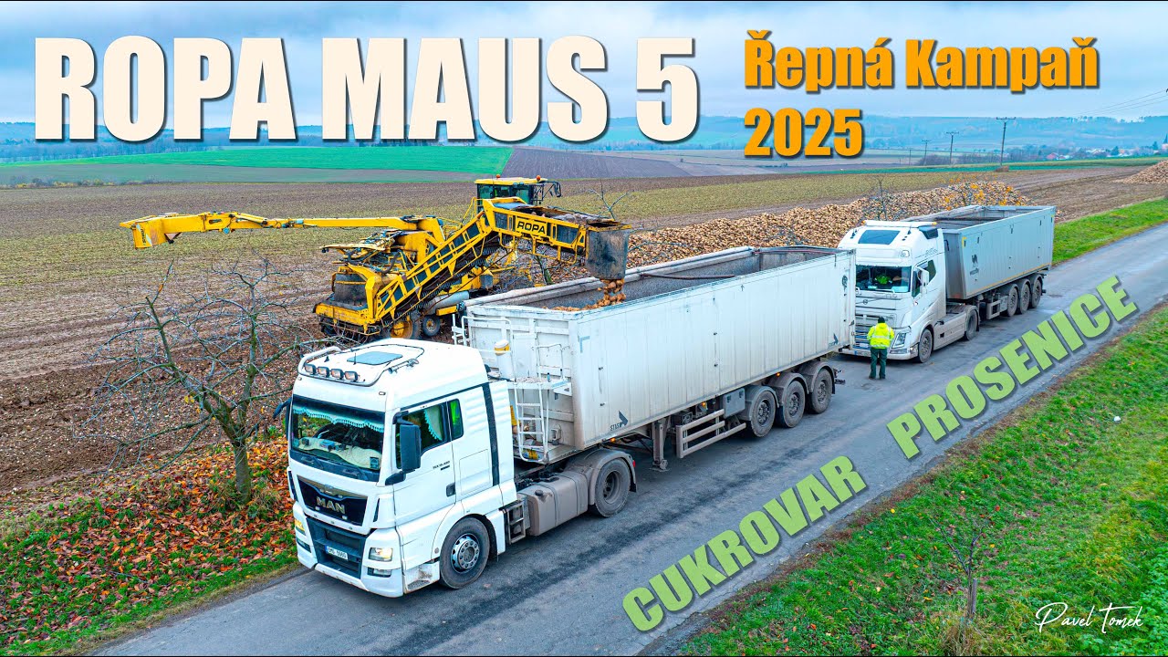 ROPA MAUS 5 | Loading sugar beet 2025