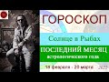 ГОРОСКОП на месяц. Солнце в Рыбах 2022 г.