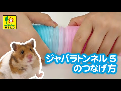 残り一点です！そろそろ冬支度を！とても暖か！三晃商会.ワイドヒーター 三晃商会 外付けワイドヒーター 未使用品 ペットヒーター - メルカリ