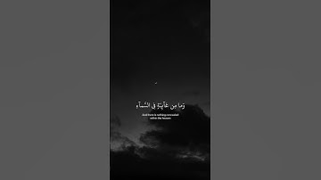 سورة النمل | القارئ اسلام صبحي 🍂حالات واتس اب قران كريم