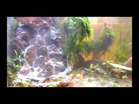 aquascape diy my diy aquascape under water waterfall youtube aquascape diy my diy aquascape under water waterfall youtube