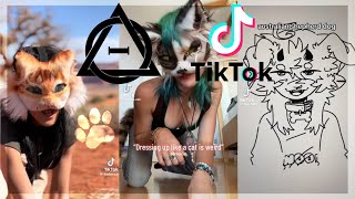 Therian and Quadrobics TikToks || Compilation 🐾🪱🪲|| Alterhumans of TikTok #87