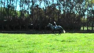 Liz Bella - Rtr Training