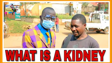 WHAT IS A KIDNEY / Teacher Mpamire On the Street/Latest Comedy African Comedy 2020