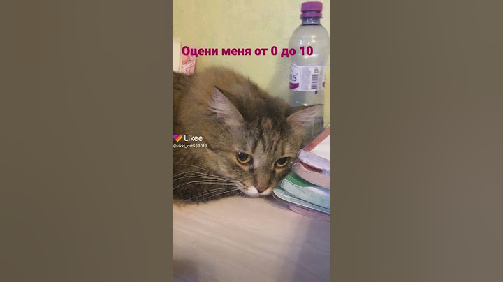 Оцени меня от 0 до 10 . Likke ID это моей хозяйки.