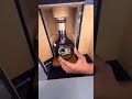 Royal Salute wine || ₹27 lakh 🍷 in India