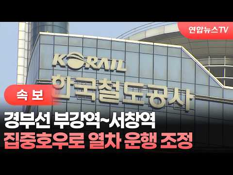 [속보] 경부선 부강역~서창역 집중호우로 열차 운행 조정 / 연합뉴스TV (YonhapnewsTV)