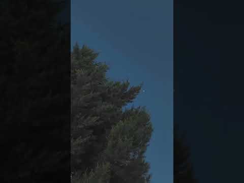 في سما عمري نجومي