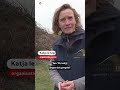 Meer regeldruk voor organisaties van paasvuren