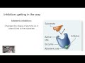 Enzyme inhibition